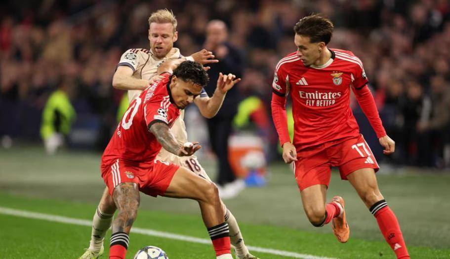 综合体育内容更新机制 实时追踪不间断